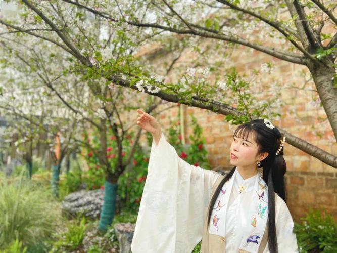 "樱花大道上风景正美与家人到万载古城来一场自驾游在樱花大道闲庭