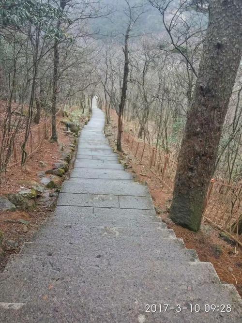 游到前山